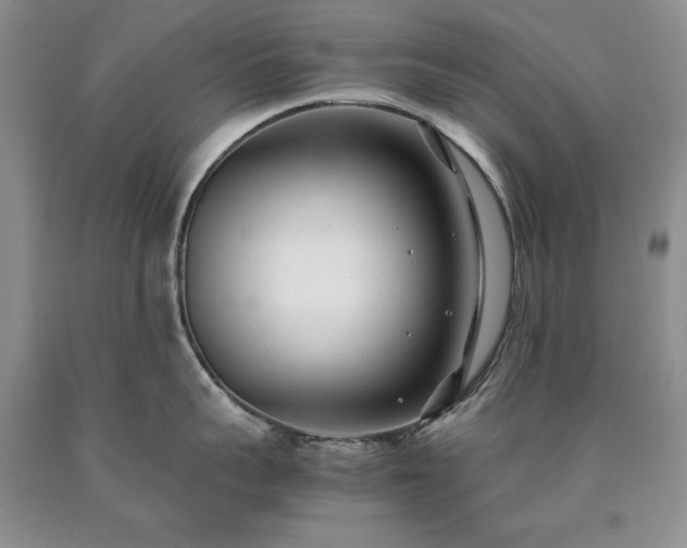 X0000090450959200707201311