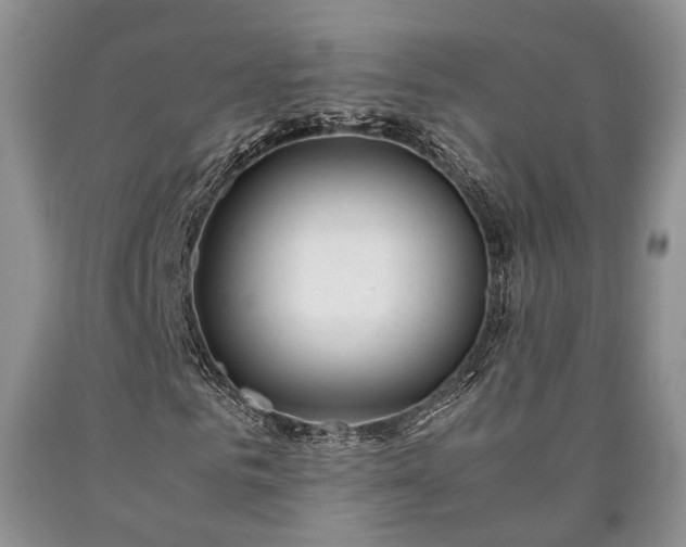 X0000090450961200707201310