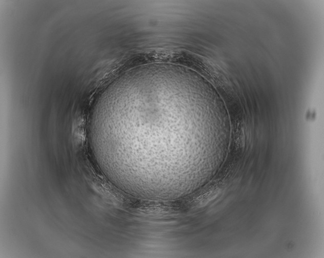 X0000090450962200707201310