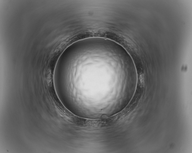 X0000090450963200707201310