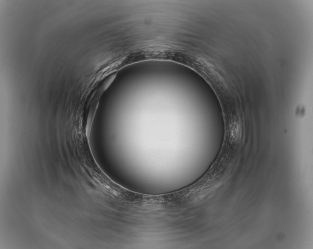 X0000090450964200707201310