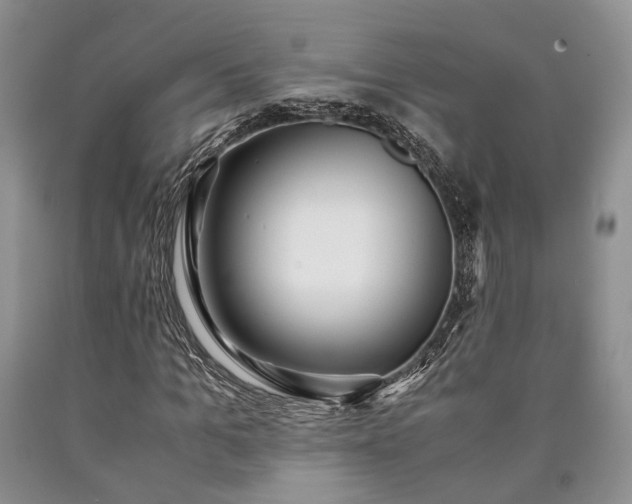 X0000090450965200707201310