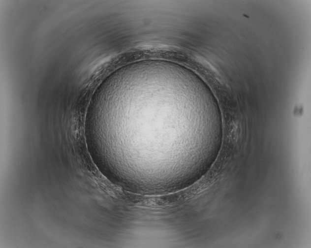 X0000090450966200707201310