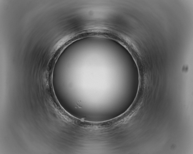 X0000090450970200707201310
