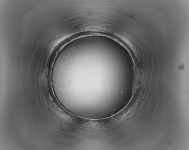 X0000090450971200707201310