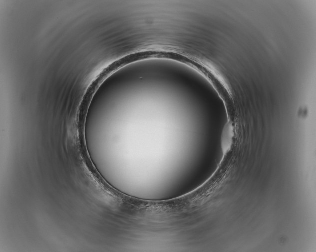 X0000090450972200707201310