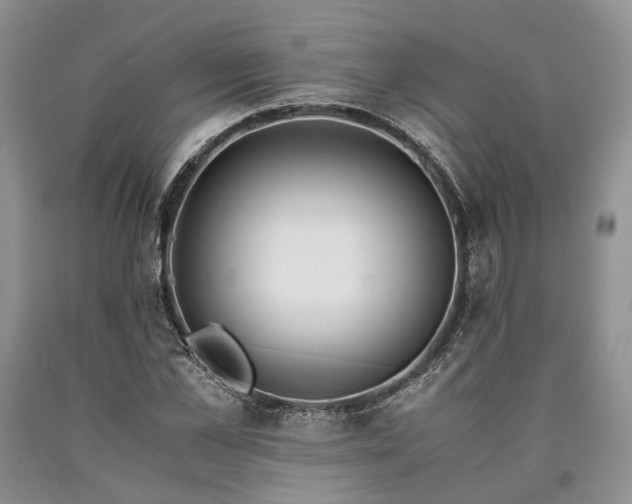 X0000090450973200707201310