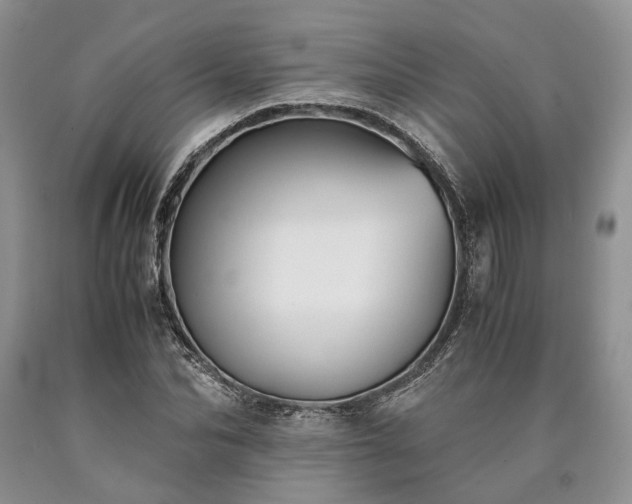 X0000090450974200707201310