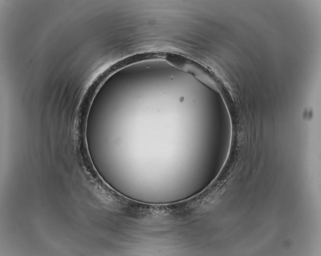 X0000090450975200707201310