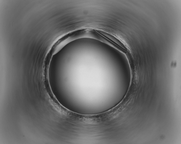 X0000090450976200707201310