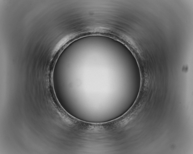 X0000090450978200707201310