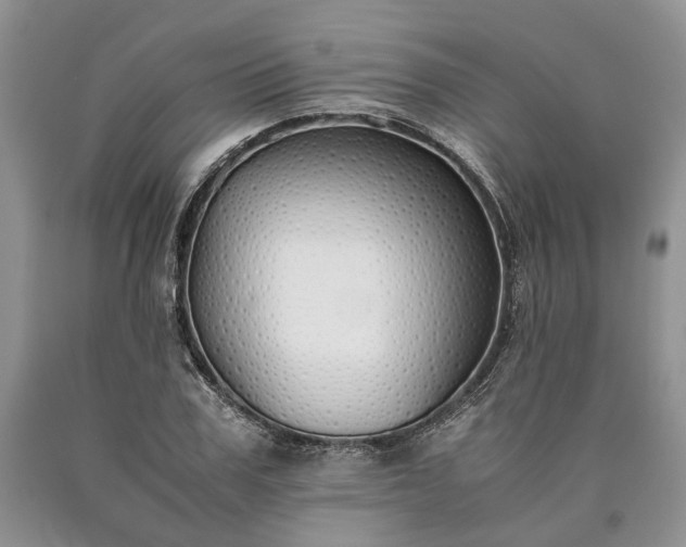 X0000090450979200707201310