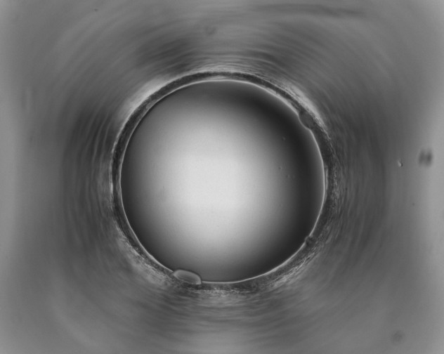X0000090450980200707201310