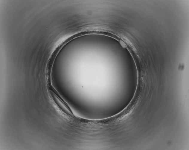 X0000090450981200707201310