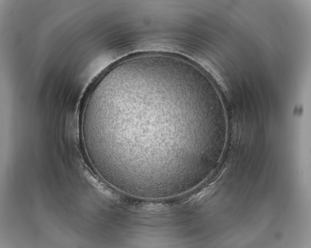 X0000090450982200707201310