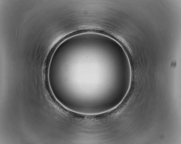 X0000090450983200707201310