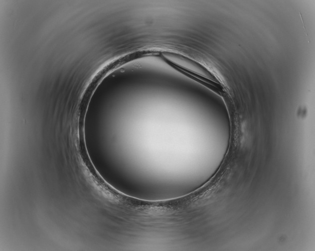 X0000090450984200707201310