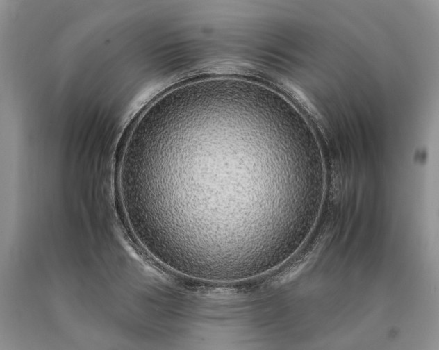 X0000090450986200707201310