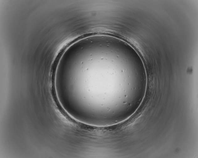 X0000090450987200707201310