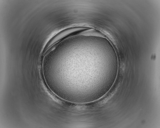 X0000090450989200707201310