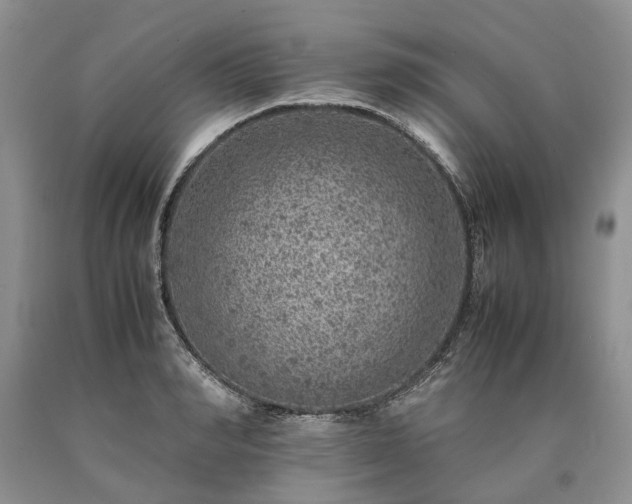 X0000090450990200707201310