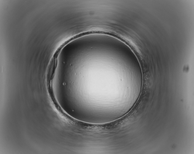 X0000090450991200707201310