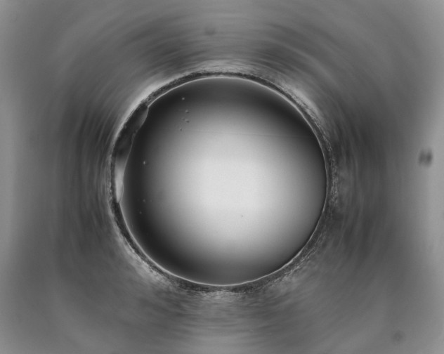 X0000090450992200707201310