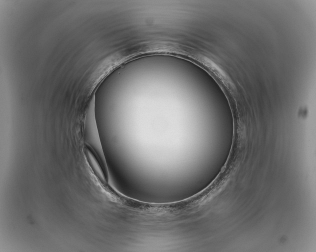 X0000090450993200707201310