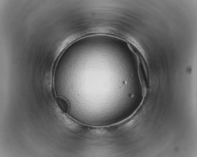 X0000090450994200707201310