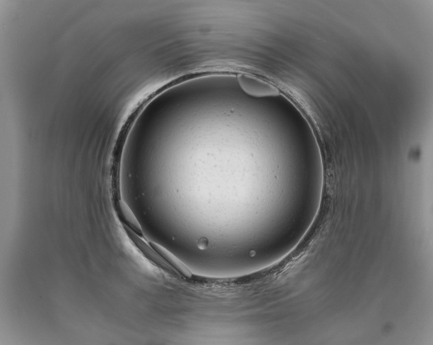 X0000090450995200707201310