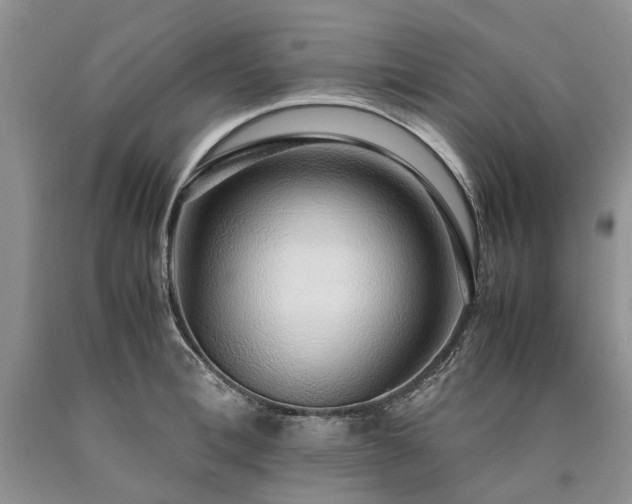 X0000090450996200707201310