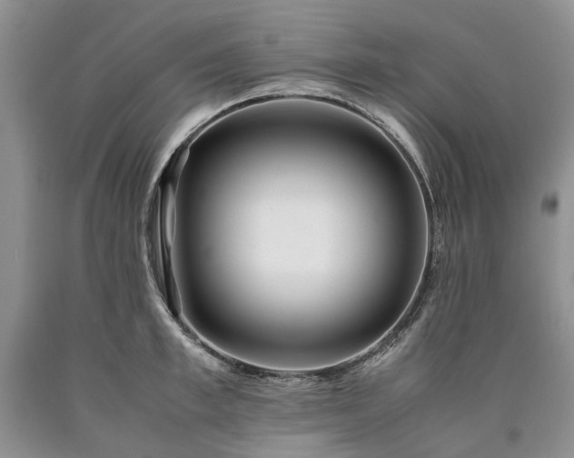 X0000090450997200707201310