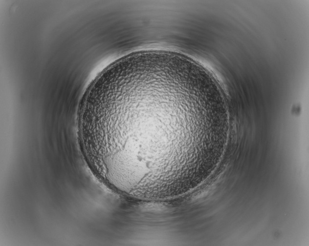 X0000090450998200707201310