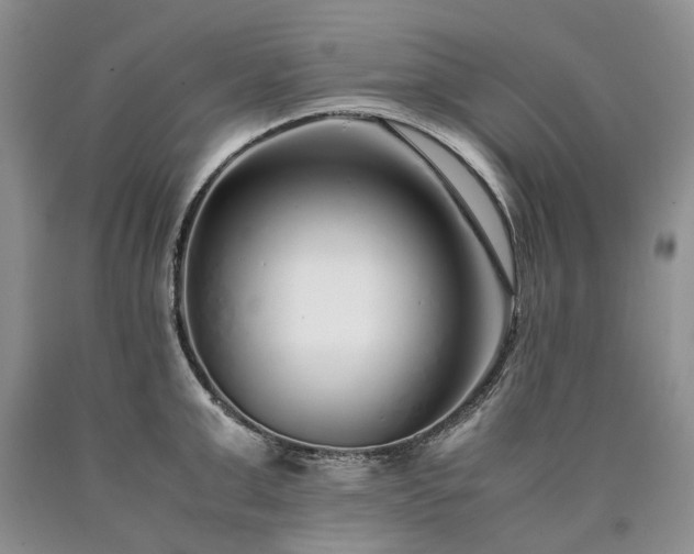 X0000090450999200707201310