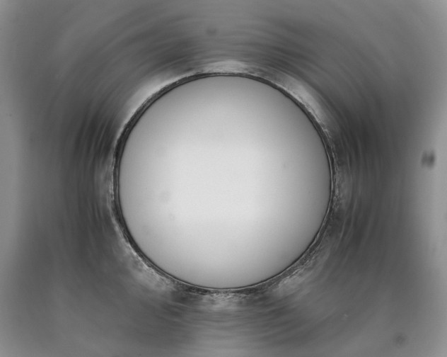 X0000090451000200707201310