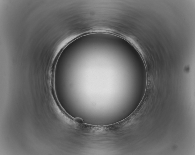 X0000090451003200707201310