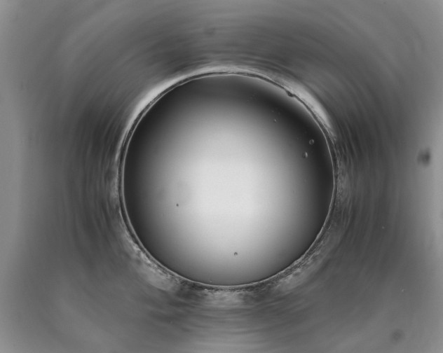 X0000090451004200707201310