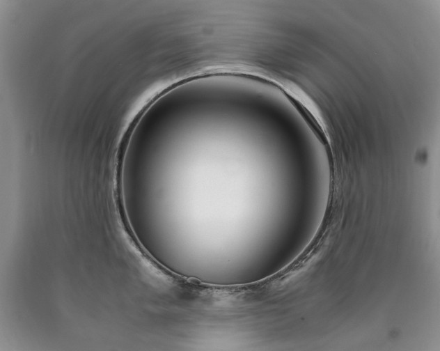 X0000090451005200707201310