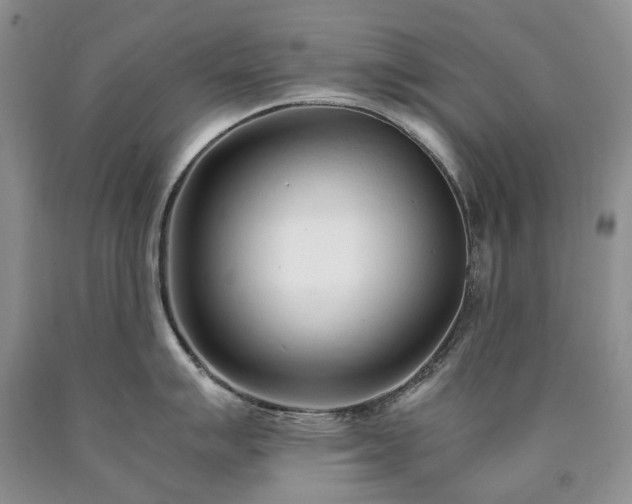 X0000090451007200707201310