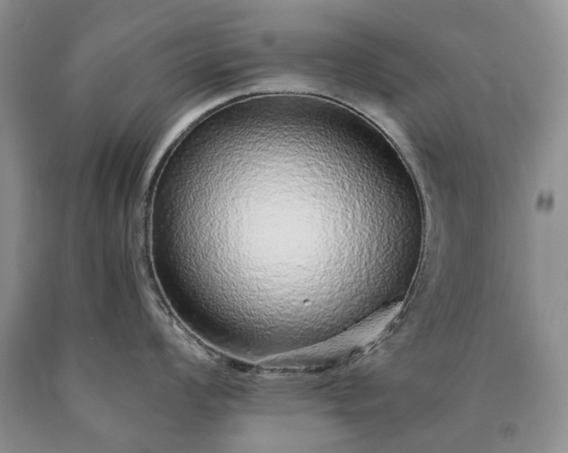 X0000090451008200707201310