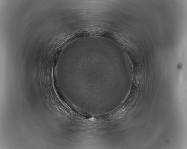 X0000090451010200707201309