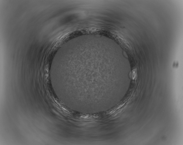 X0000090451011200707201309