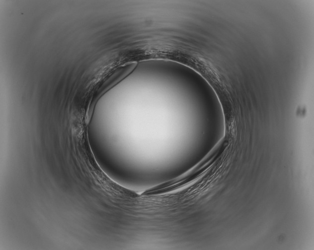 X0000090451012200707201309