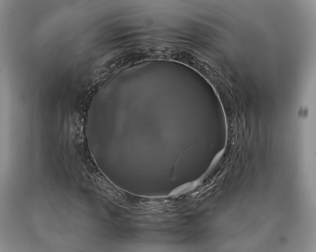 X0000090451013200707201309