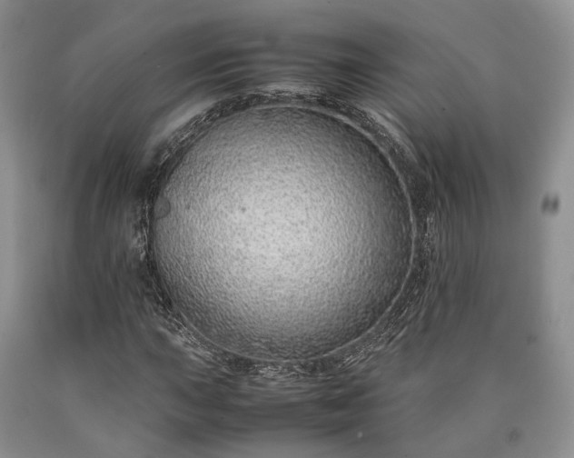 X0000090451015200707201309