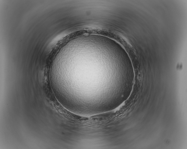 X0000090451016200707201309