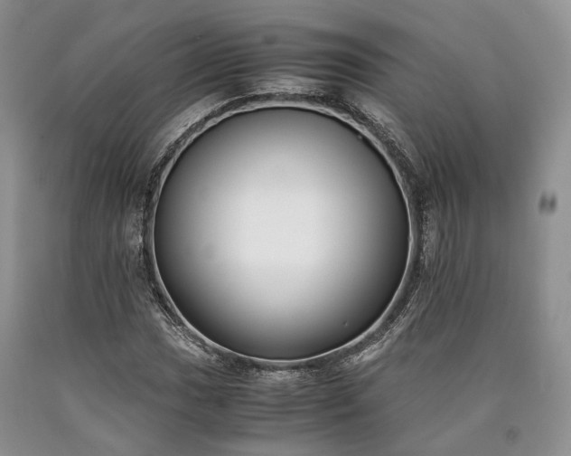 X0000090451017200707201309