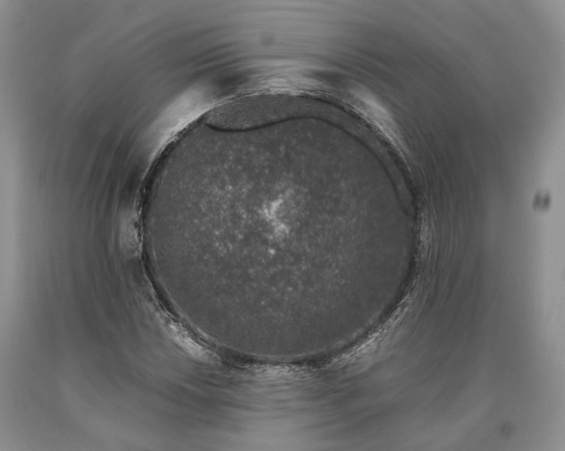 X0000090451018200707201309