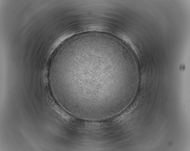 X0000090451019200707201309