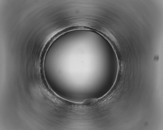 X0000090451020200707201309